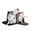 PETSFIT Airline Approved Pet Carrier for Cats Small Dogs-5
