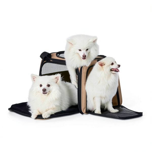 PETSFIT Soft Sided Cat Carrier Mesh Ventilation-2