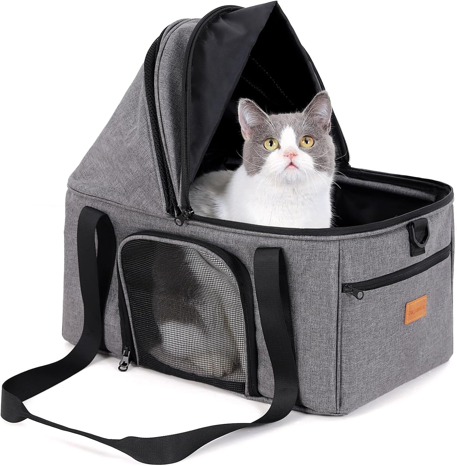 BurgeonNest expandable cat carrier on a wooden floor with a Maine Coon peeking out